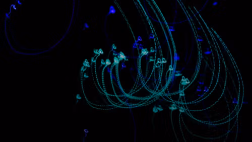 Abstract glowing blue and teal lights on black background