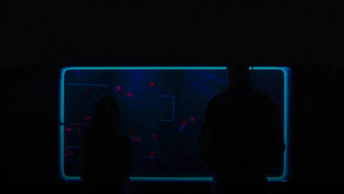 a couple of people standing in front of a tv