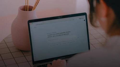 Woman typing on a laptop with a vase nearby