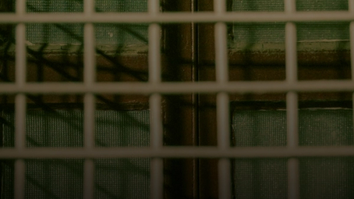 White bars in front of a green textured wall