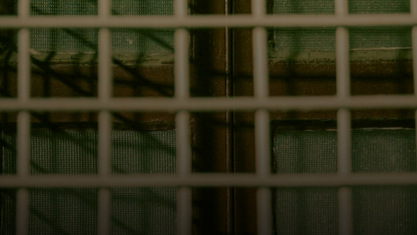 White bars in front of a green textured wall