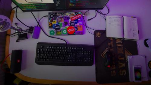 ubuntu linux desktop monitor developer workstation — illustration for article on Linux Mint vs Ubuntu for