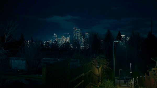 City skyline illuminated at night with dark trees foreground.