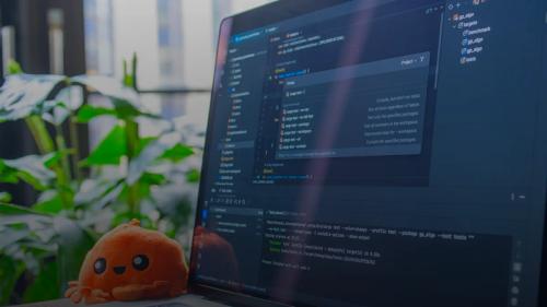 Laptop screen displaying code with a small plush toy.