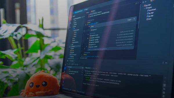 Laptop screen displaying code with a small plush toy.